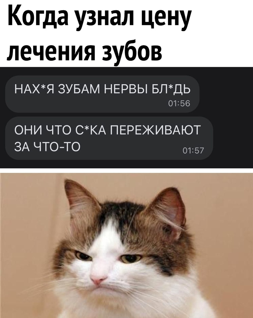 Когда узнал цену лечения зубов НАХЯ ЗУБАМ НЕРВЫ БЛДЬ 01156 ОНИ ЧТО СКА ПЕРЕЖИВАЮТ ЗА ЧТОТО 0157