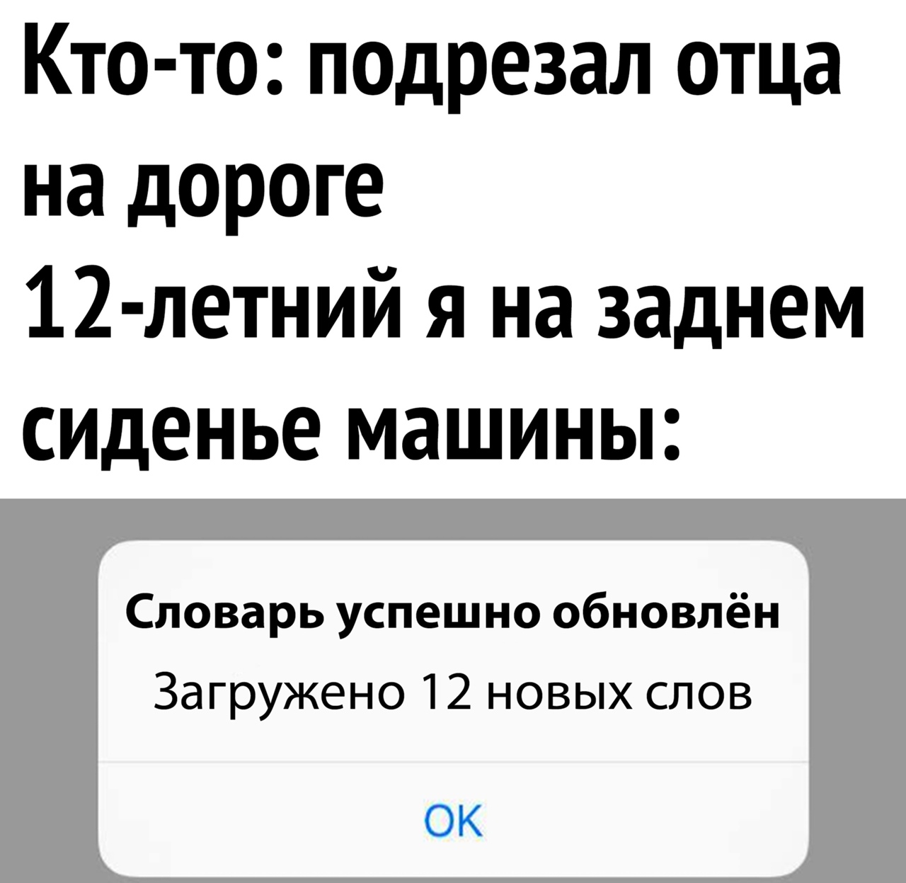 Кто то подрезал отца на дороге 12 летний я на заднем сиденье машины Словарь успешно обновлён Загружено 12 новых слов ОК