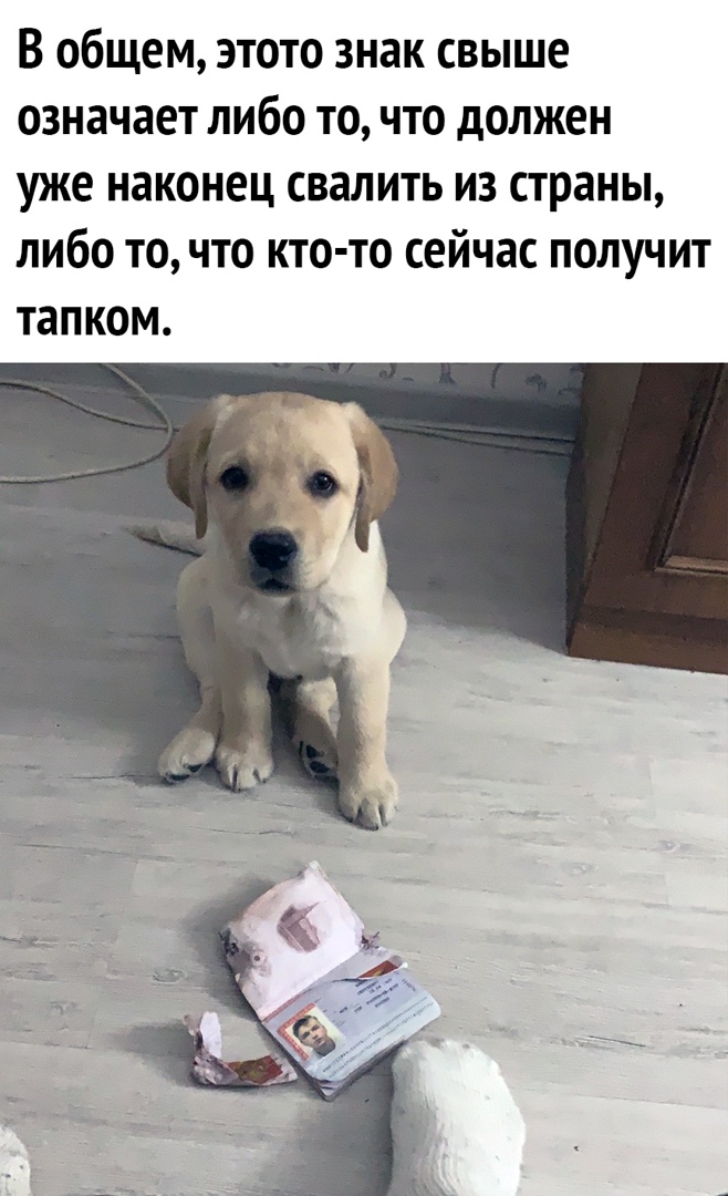 В общем этото знак свыше означает либо то что должен уже наконец свалить из страны либо то что кто то сейчас получит тапком