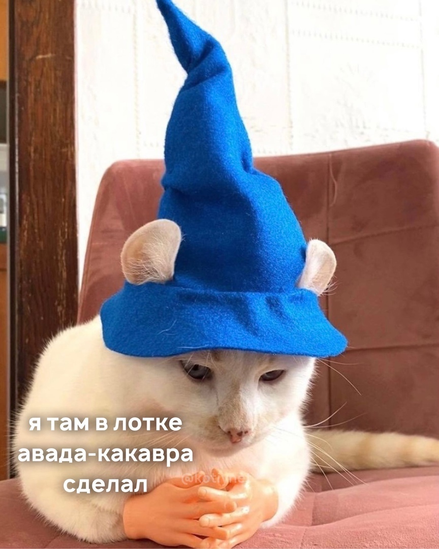 авада какав Чемп ра _
