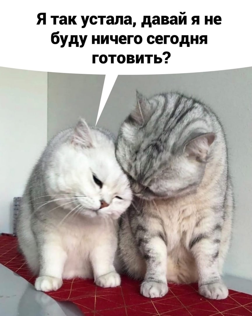 Я так устала давай я не буду ничего сегодня готовить