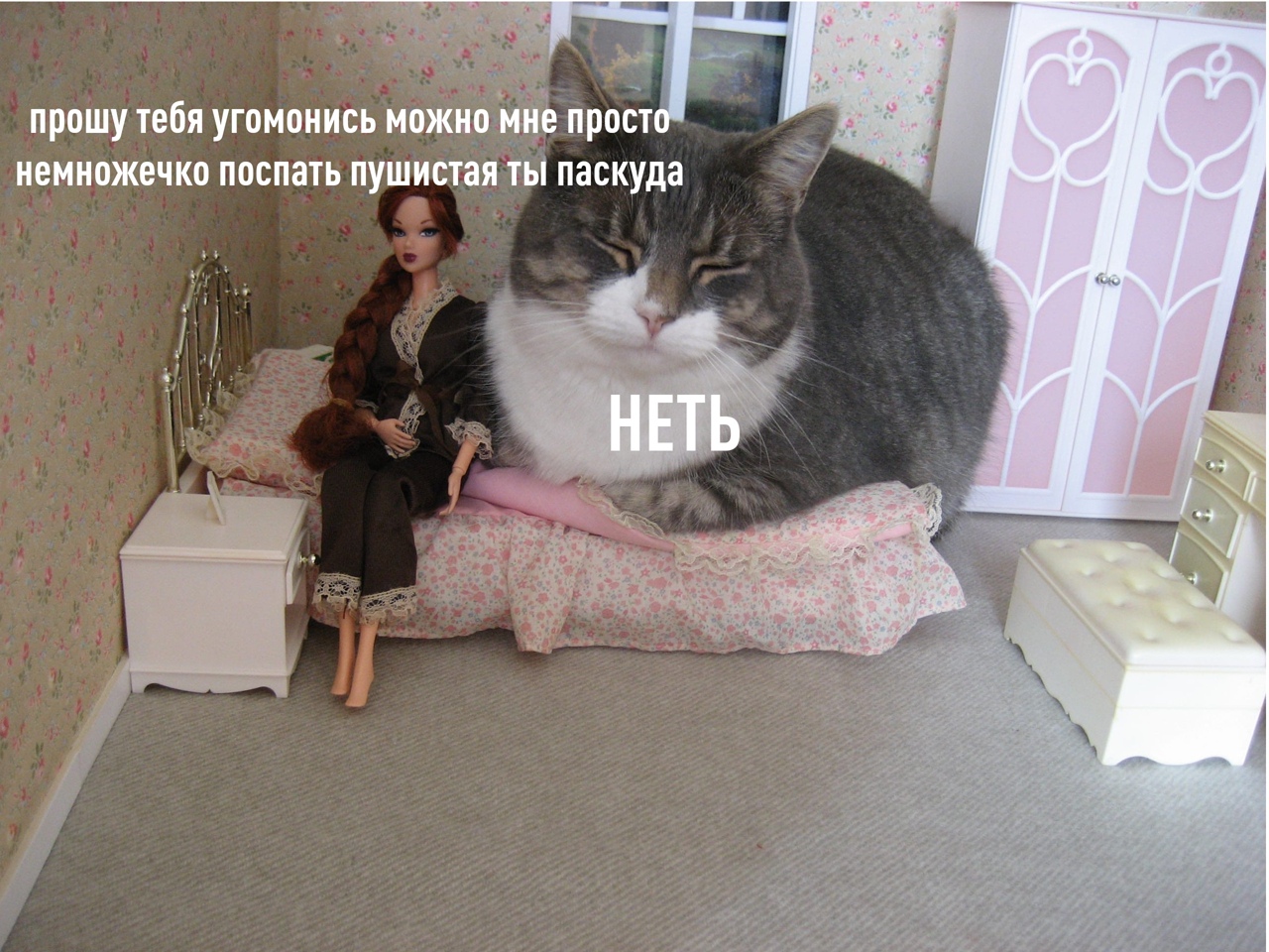 прошу тебя угомонись можно прост немножечко поспать пушистая ты паскуда