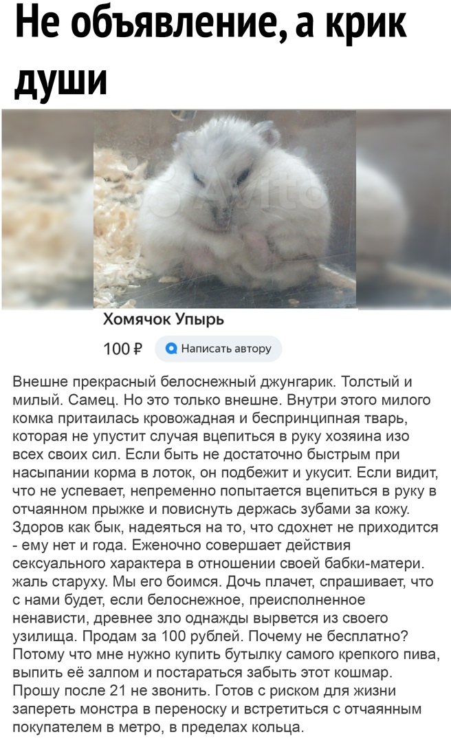 Не объявление а крик души Хомячок Упырь 100 Р О Написать автору Внешне прекрасный белоснежный джунгарик Толстый и милый Самец Но это только внешне Внутри этого милого комка притаилась кровожадная и беспринципная тварь которая не упустит случая вцепиться в руку хозяина изо всех своих сил Если быть не достаточно быстрым при насыпании корма в поток он подбежит и укусит Если видит что не успевает непр