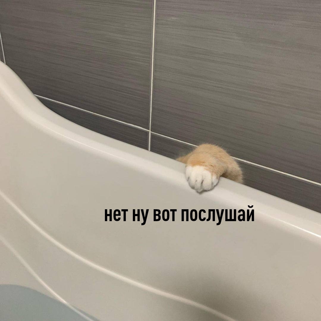 нет ну вот послушай
