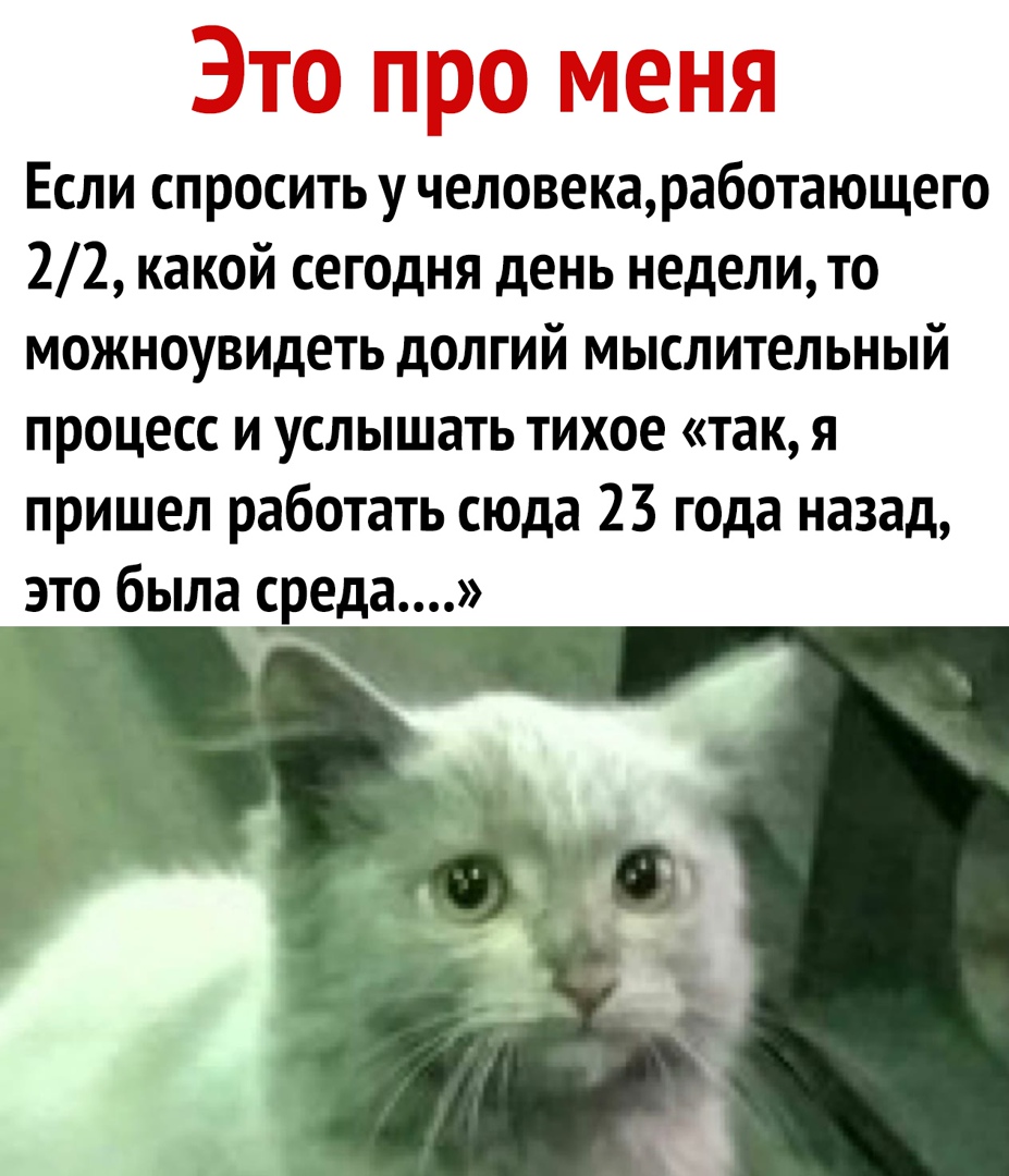 Это про меня Если спросить у человекаработающего 22 какой сегодня день недели то можноувидеть долгий мыслительный процесс и услышать тихое так я пришел работать сюда 23 года назад это была среда