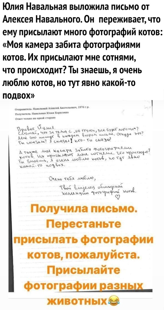 Юлия Навальная выложила письмо от Алексея Навального Он переживает что ему присылают много фотографий котов Моя камера забита фотографиями котов Их присылают мне сотнями что происходит Ты знаешь я очень люблю котов но тут явно какой то подвох ці ш _ _ Мццд вы Загнч7п1 хм ш д с с к мм7 і ьАзм и идти МА щ ъЁЛт Фоиощгчім ммм Мщм мы с А тыс а Ёымім мдм АА СЦ та и тд ТЁ Ё Миши 5 тотчгіцфщ Получила пись