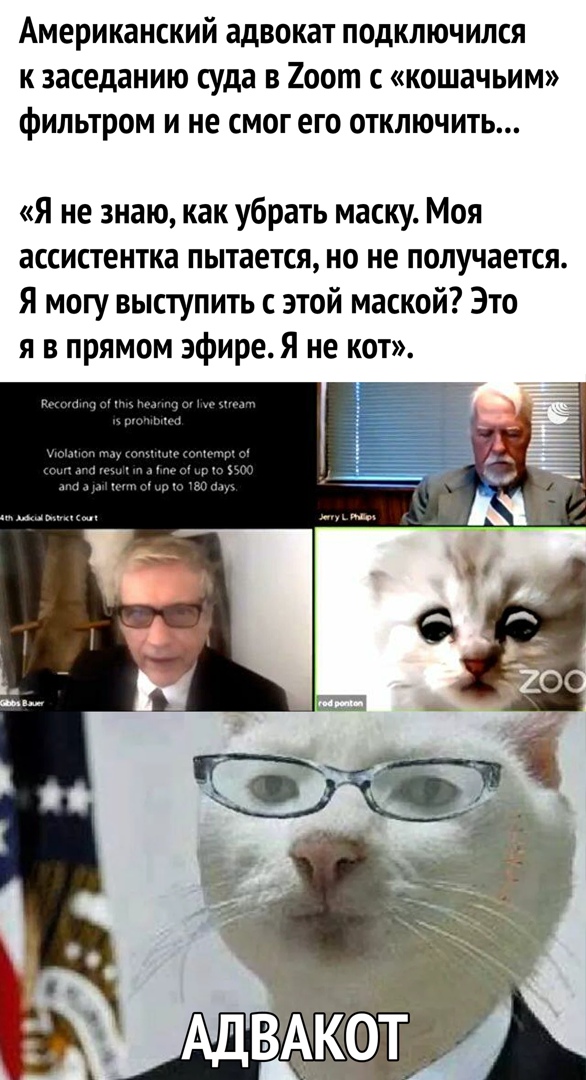 Американский ЗДВОКЗТ ПОДКЛЮЧИЛСЯ К заседанию суда В 200 С КОШЗЧЬИМ фИЛЬТРОМ И не СМОГ ЕГО ОТКЛЮЧИТЬ я не знаю как убрать маску Моя ассистентка пытается но не получается я могу выступить с этой маской Это я в прямом эфире Я не кот
