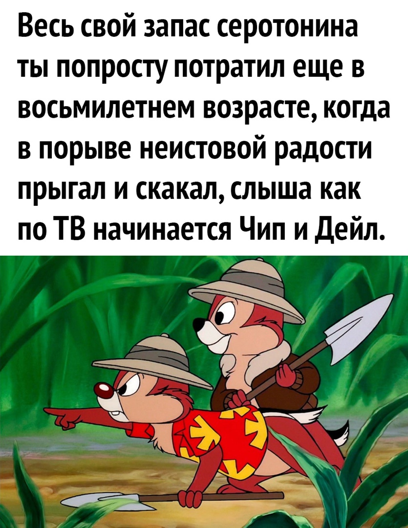 Весь свой запас серотонина ты попросту потратил еще в восьмилетнем возрасте когда в порыве неистовой радости прыгал и скакал слыша как по ТВ начинается Чип и Дейл