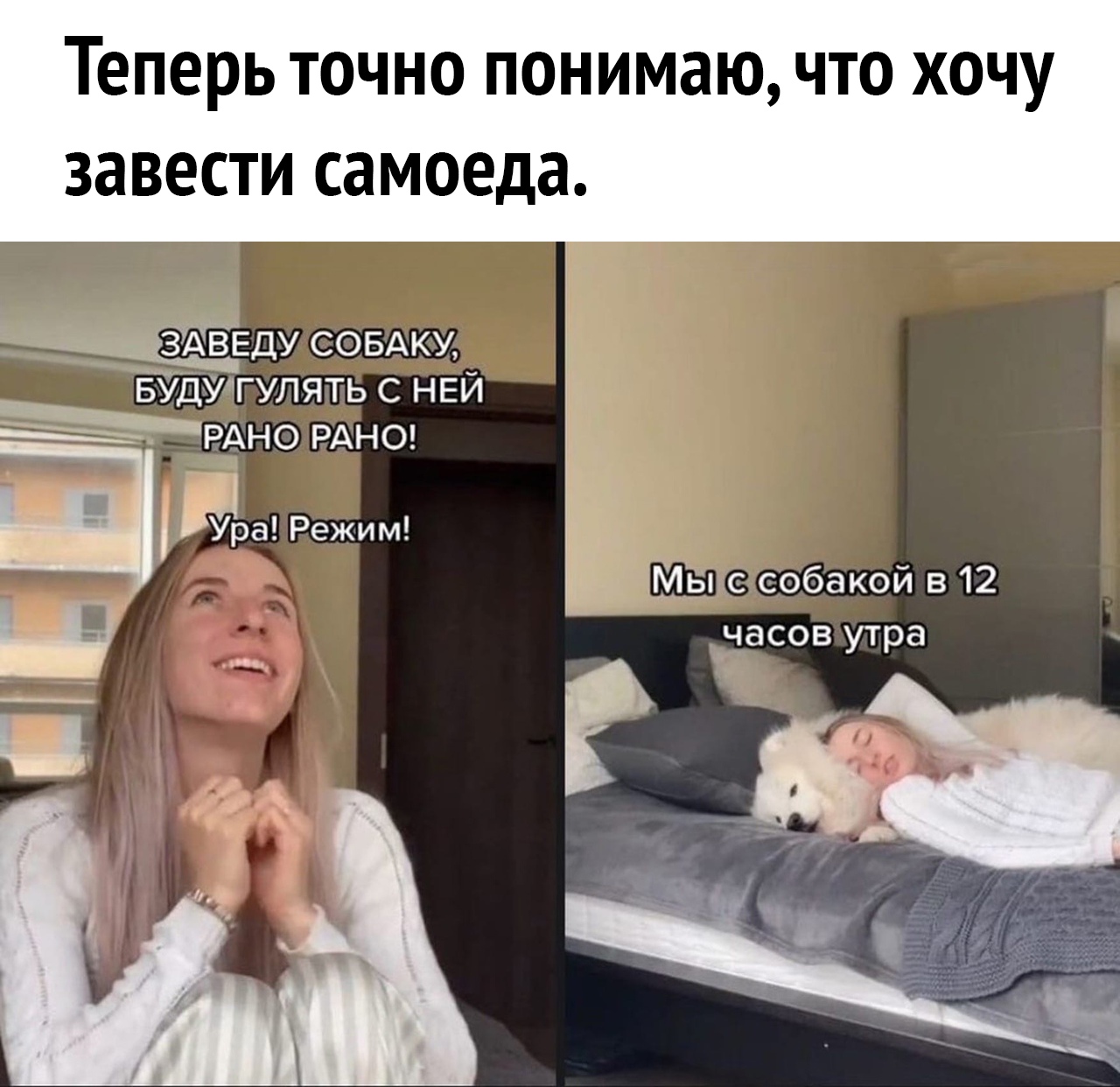 ТЕПЕРЬ ТОЧНО ПОНИМЭЮ ЧТО ХОЧУ ЗЭВЕСТИ самоеда _ _ЗЩЁЕДУ СОБАКУ БУДУГУЛЯТЬ с НЕЙ ЁРАНО РАНО рза Режим 3 Мы с собакой в 12 часов утра Ц