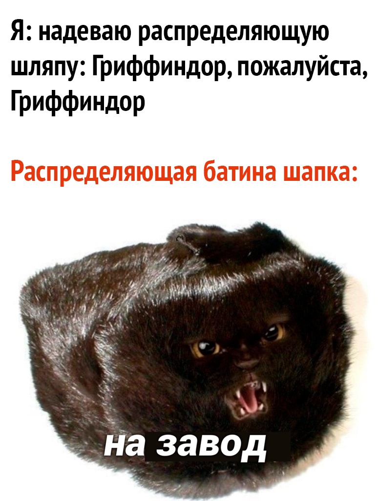 Я надеваю распределяющую шляпу Гриффиндор пожалуйста Гриффиндор _ На завод