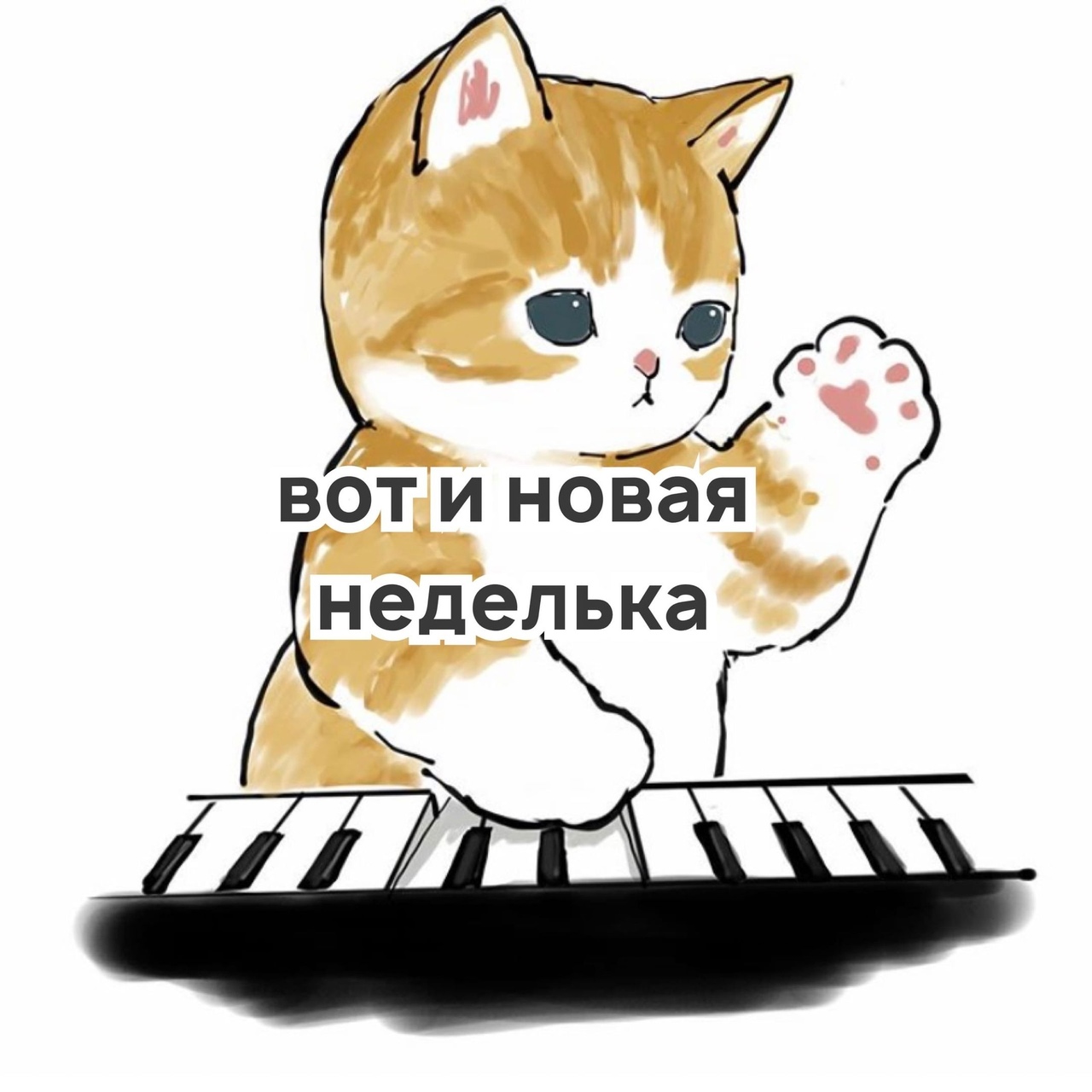 ВОТ И НОВЭЯ ЖеделькаГ