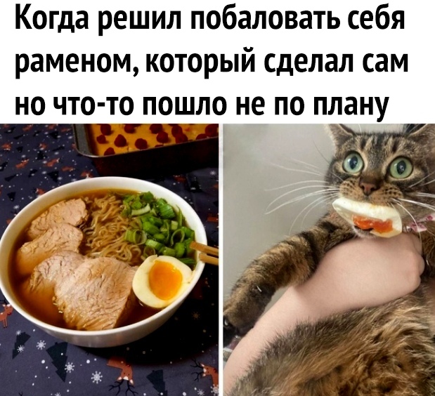 Когда решил побаловать себя раменом который сделал сам но что то пошло не по плану