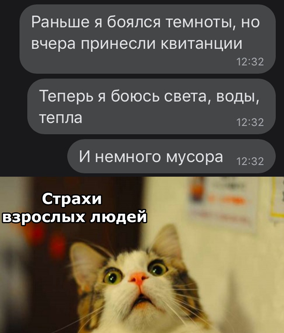 Раньше я боялся темноты но вчера принесли квитанции 1232 Теперь я боюсь света воды тепла 1232 И немного мусора 1232 Страхи взросл ых людей