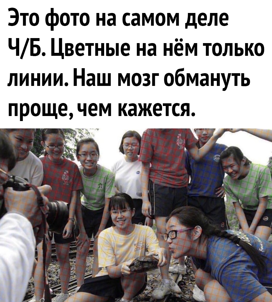 Это фото на самом деле ЧБ Цветные на нём только линии Наш мозг обмануть проще чем кажется х
