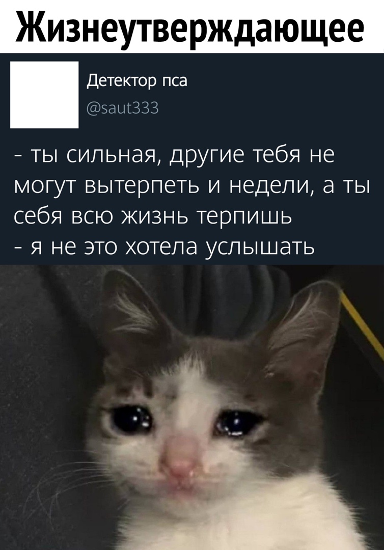 Жизнеутверждающее Детектор пса заЩЗЗЗ ты сильная другие тебя не могут вытерпеть и недели а ты себя всю жизнь терпишь я не это хотела услышать