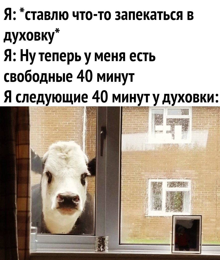 Я ставлю что то запекаться в духовку Я Ну теперь у меня есть свободные 40 минут Я следующие 40 минут у духовки