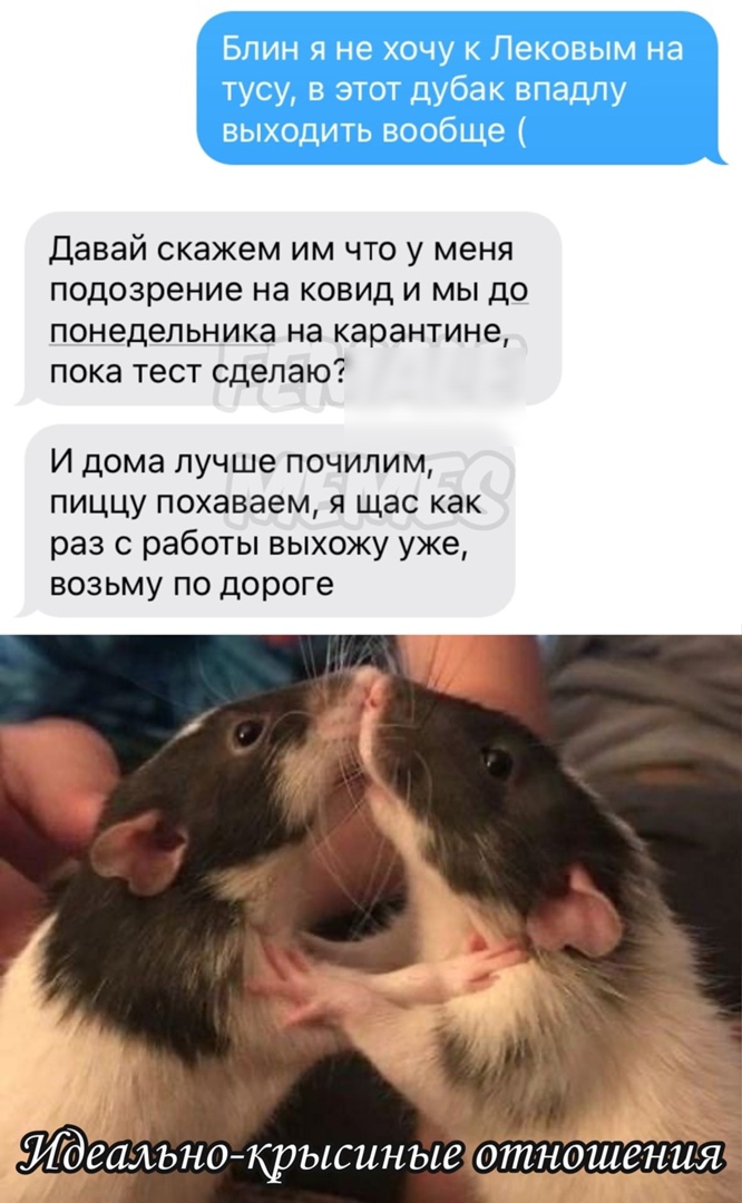 Давай скажем им что у меня подозрение на ковид и мы до понедельника на карантине пока гест сделаю И дома лучше почилим пиццу похаваем я щас как раз с работы выхожу уже возьму по дороге Мжа ндшени