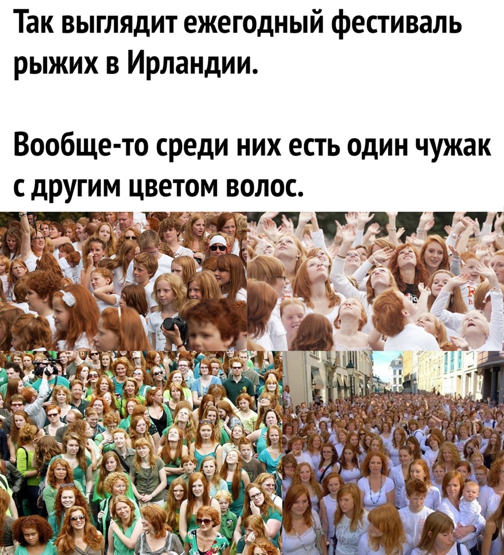Так выглядит ежегодный фестиваль рыжих в Ирландии Вообще то среди них есть один чужак