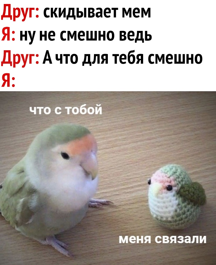 Друг скидывает мем Я ну не смешно ведь Друг А что для тебя смешно Я что с тобой меня СВЯЗЭЛИ
