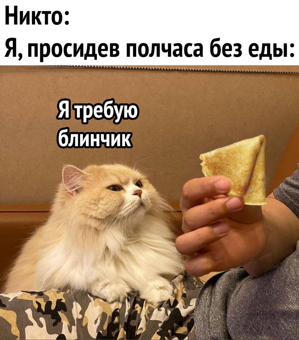 Никто Я ПРОСИД полчаса без еды Я требую блинчик _ инт