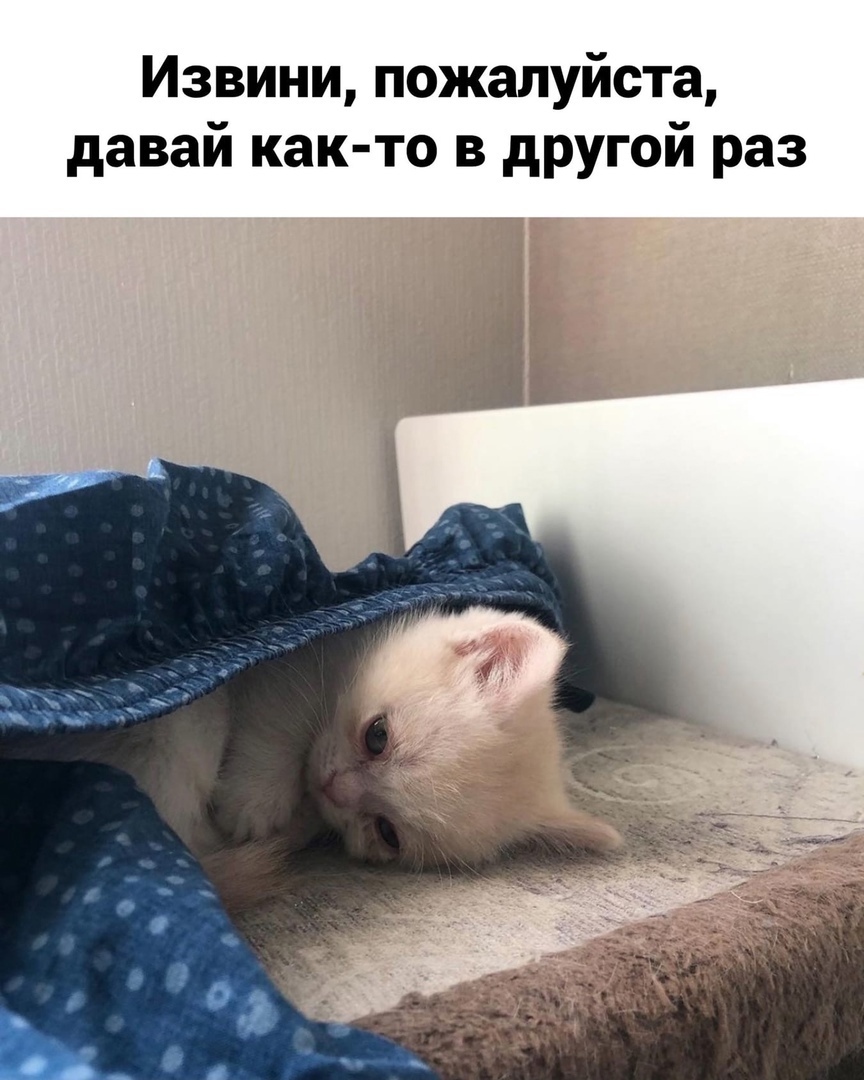 Извини пожалуйста давай как то в другой раз