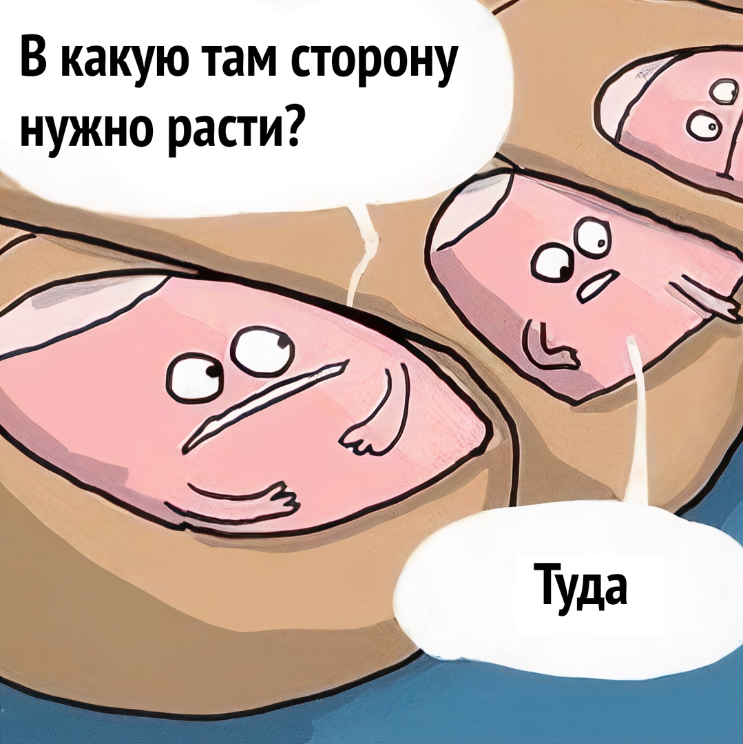 В какую там сторону нужно расти