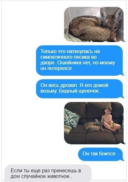 Если ты еще раз принесешь в дом спучайнше животне