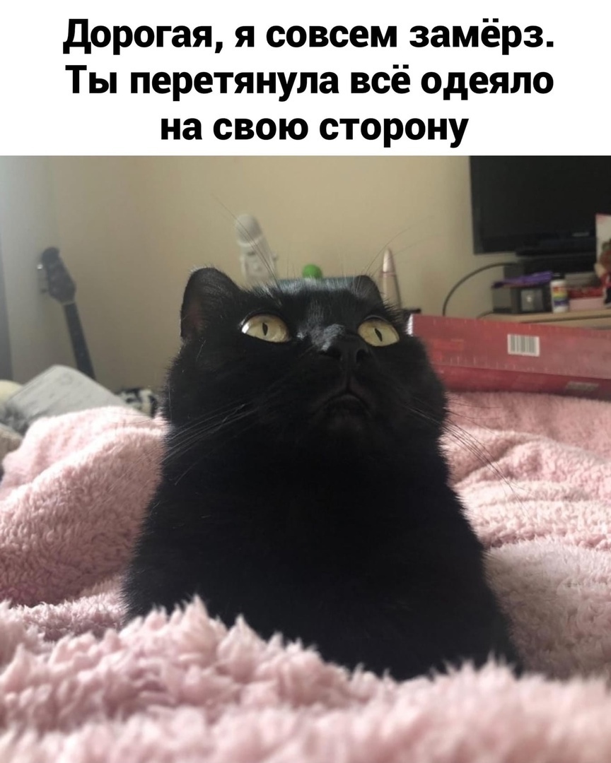 дорогая я совсем замёрз Ты перетянула всё одеяло на свою сторону