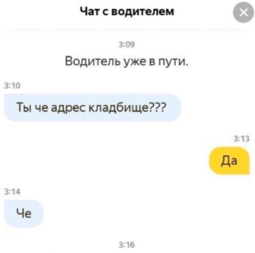 Чат с водителем Ф 3 09 Водитель уже в пути 310 Ты че адрес кладбище 313 314 Че 316