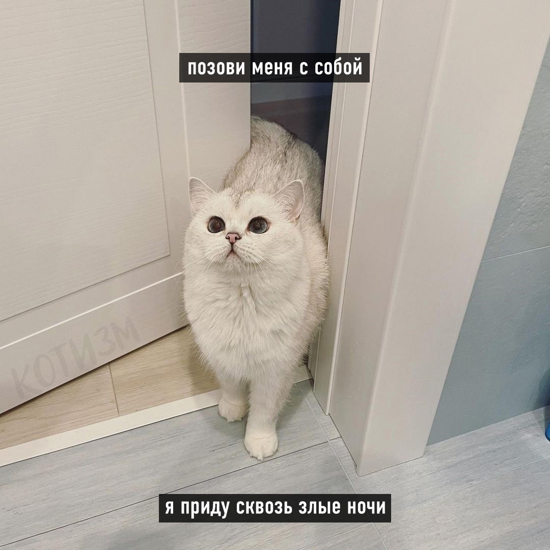 ПОЗОВИ МЕНЯ С собой Я приду СКВПЗЬ ЗЛЫЕ НОЧИ