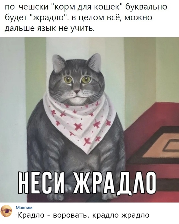 пойчешски корм для кошек буквально будет жрадлоЕ в целом всё можно дальше язык не учить Максим Крадпо воровать крадпо жрадло