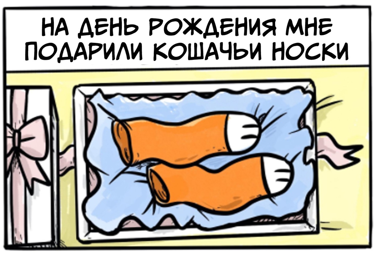 НА ДЕНЬ РОЖДЕНИЯ МНЕ ПОДАРИИ КОШАЧЬИ НОСКИ