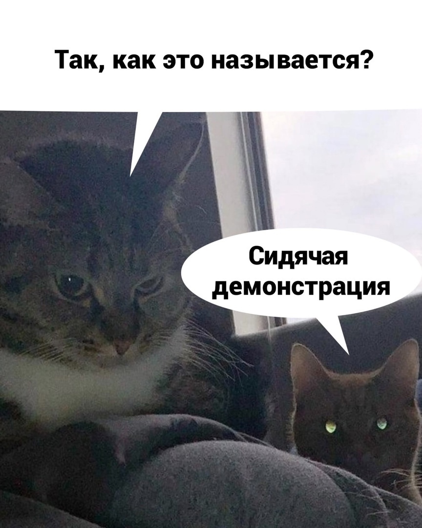 Так как это называется Сидячая демонстрация