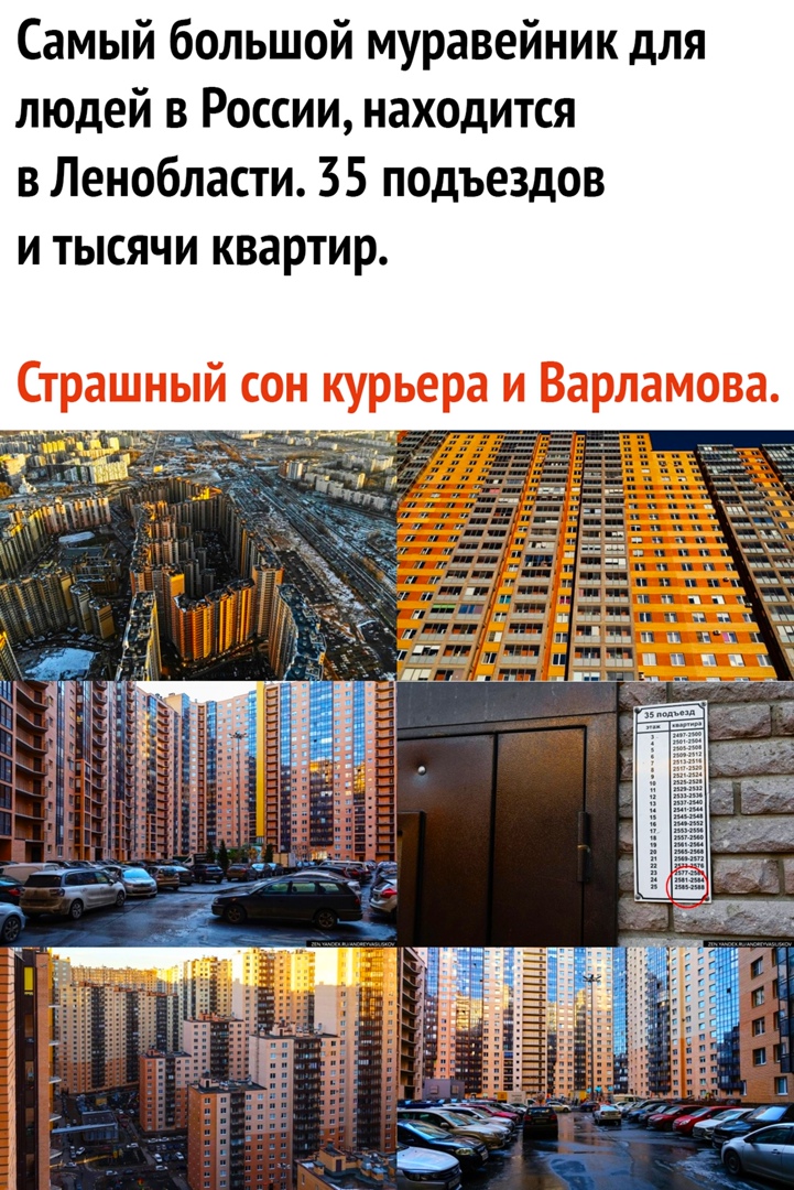 Самый большой муравейник для людей в России находится в Ленобласти 35 подъездов и тысячи квартир Страшный сон курьера и Варламова