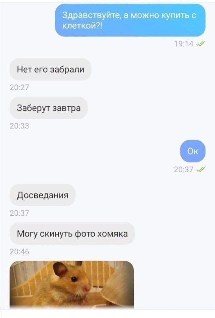 Здравствуите амкы кпеткои 14 Нет его забрали 2027 Заберут завтра 2033 20 37 7 досведания 2037 Могу скинуть фото хомяка 20 46