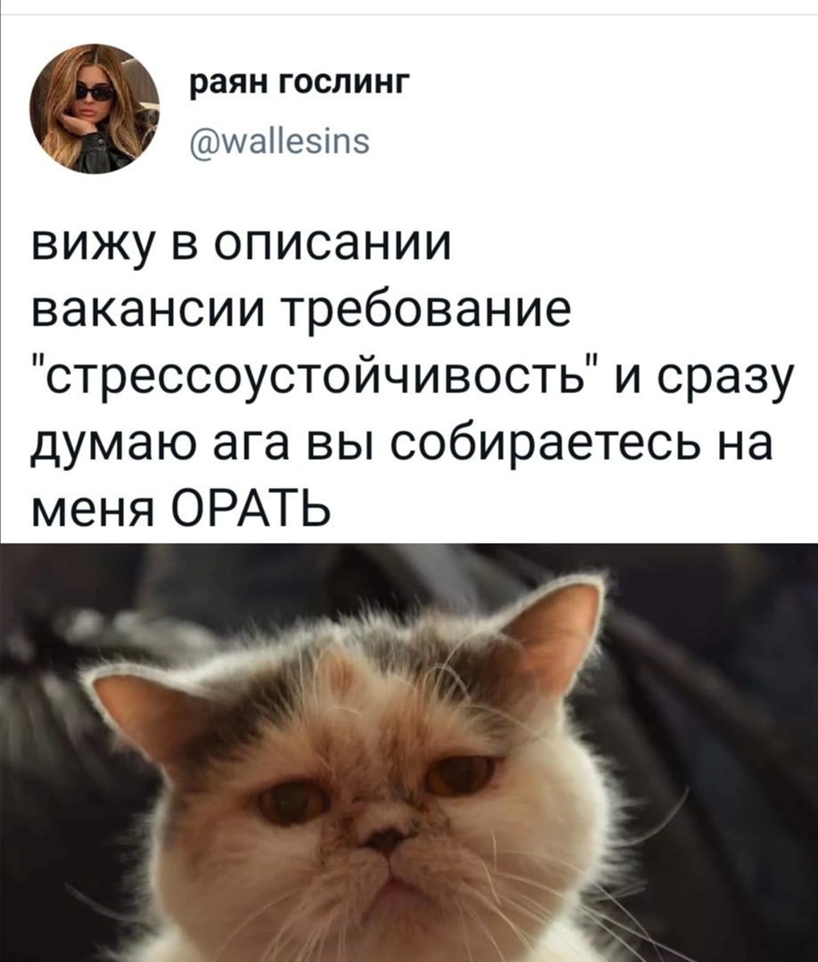 раян госпинг иаНезіпз вижу в описании вакансии требование стрессоустойчивость и сразу думаю ага вы собираетесь на меня ОРАТЬ