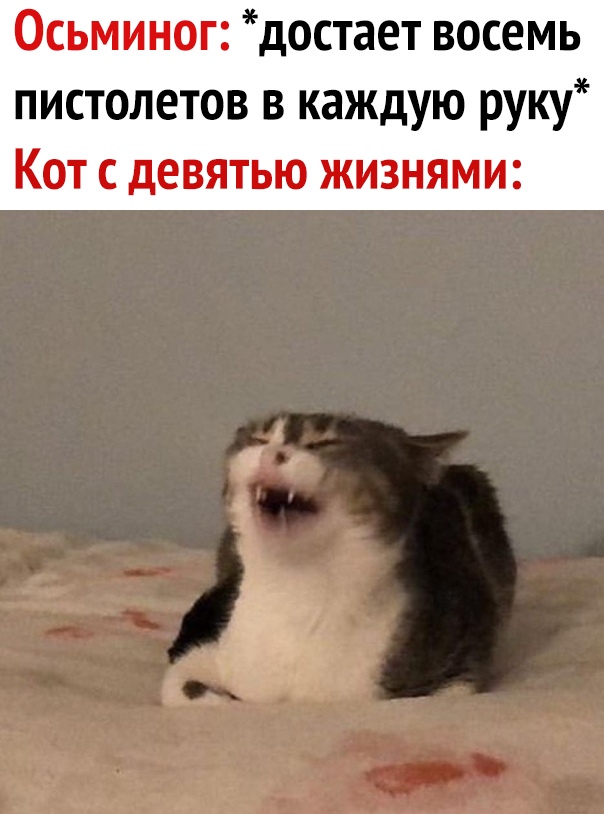 Осьминог достает восемь пистолетов в каждую руку Кот с девятью жизнями
