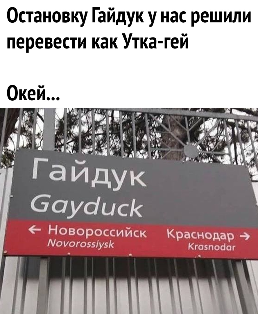 Остановку Гайдук у нас решили перевести как Утка гей Новороссийск Краснодар 9 Аоиог055іу5 Кгозпосіог минными