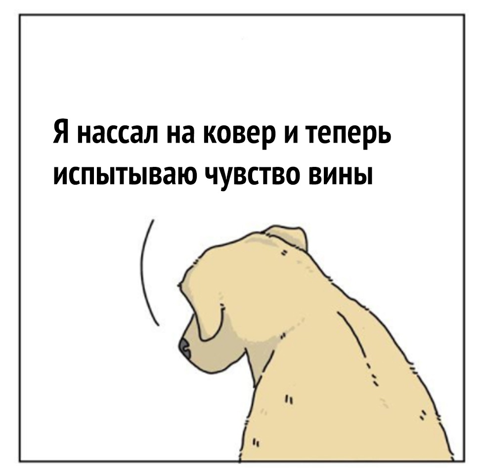 Я НЭССЗЛ на ковер И теперь испытываю ЧУВСТВО ВИНЫ
