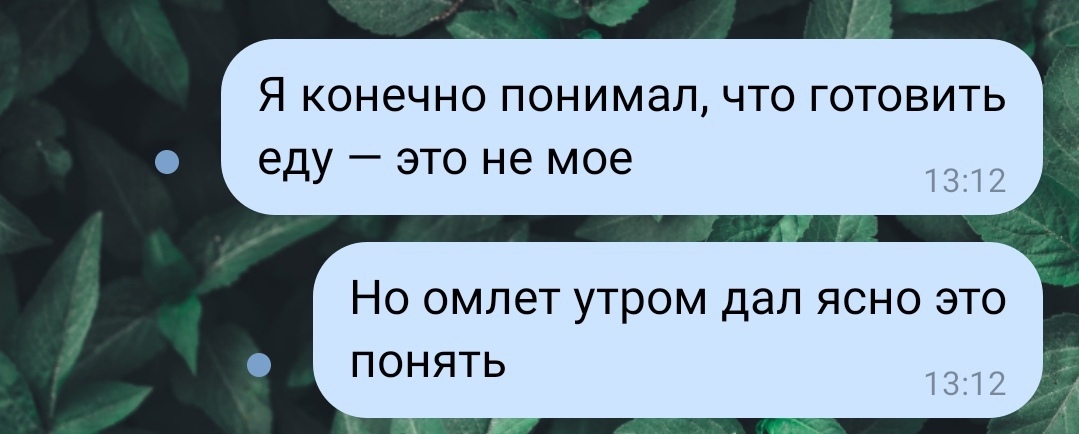 Я КОНЕЧНО ПОНИМЭЛ ЧТО ГОТОВИТЬ еду это не мое 1312 Но омлет утром дал ясно это понять 1312