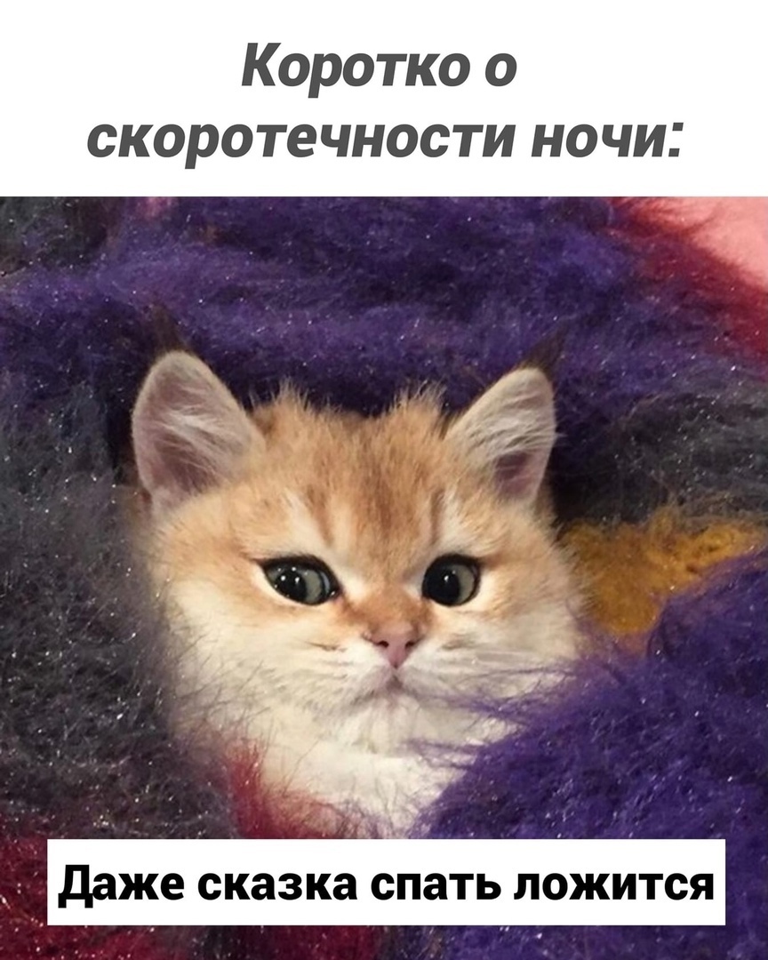 Коротко о скоротечности ночи даже сказка спать ложится