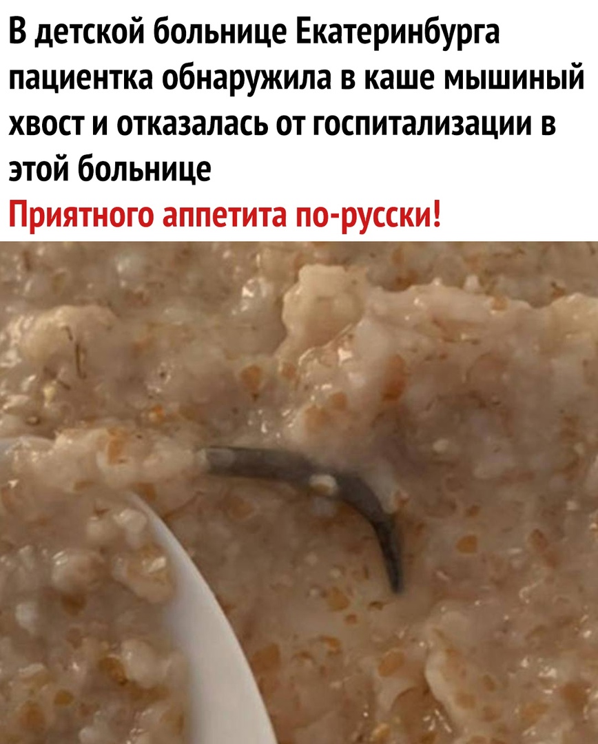 В детской больнице Екатеринбурга пациентка обнаружила в каше мышиный хвост и отказалась от госпитализации в этой больнице Приятного аппетита по русски