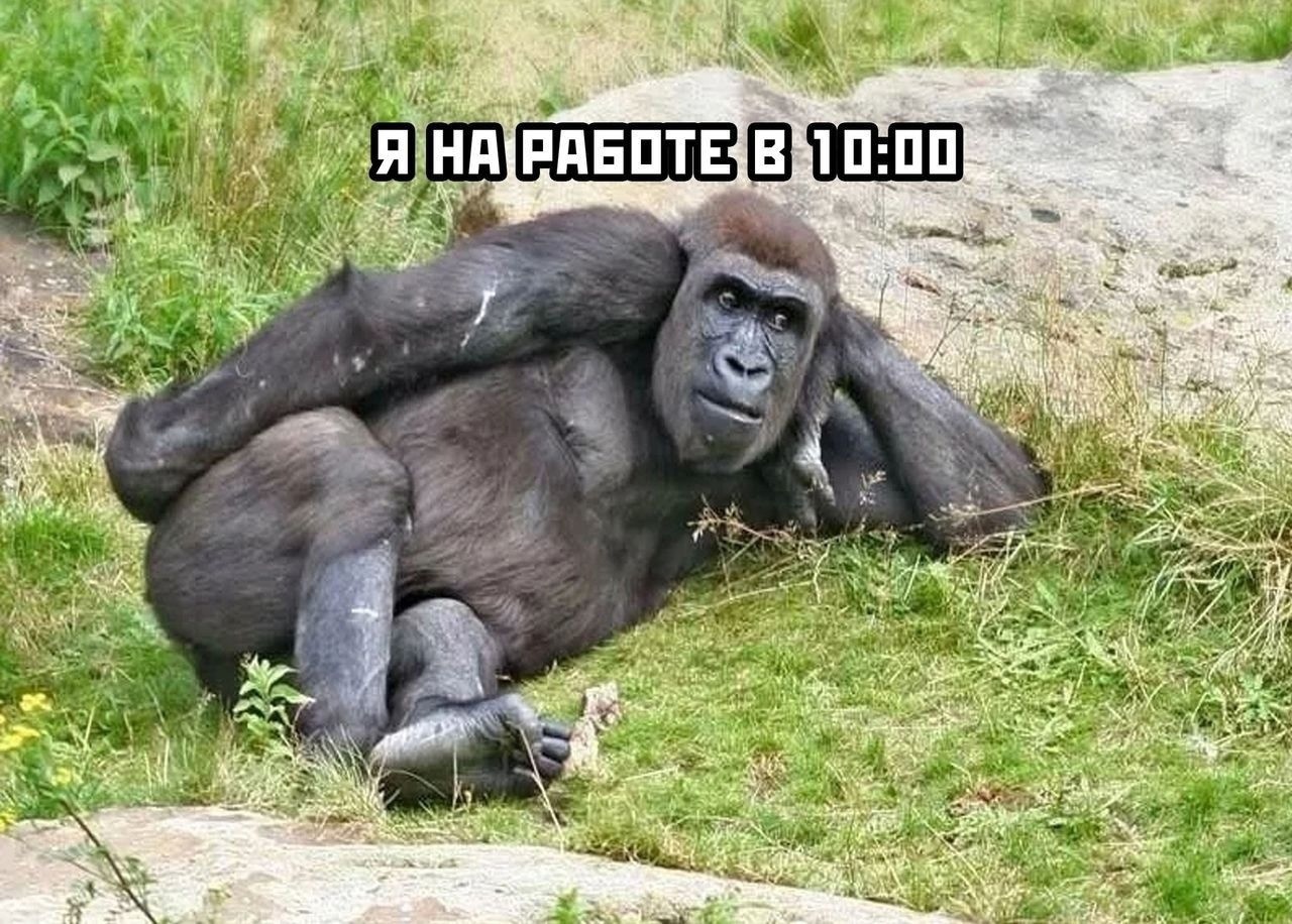 ШШШ в