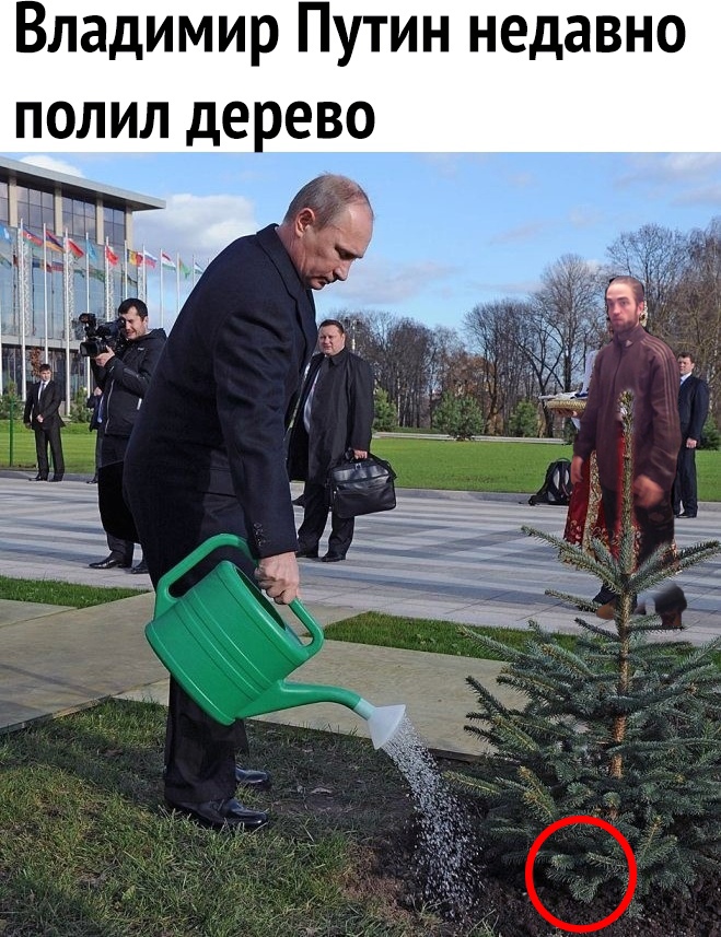 Владимир Путин недавно полил дерево