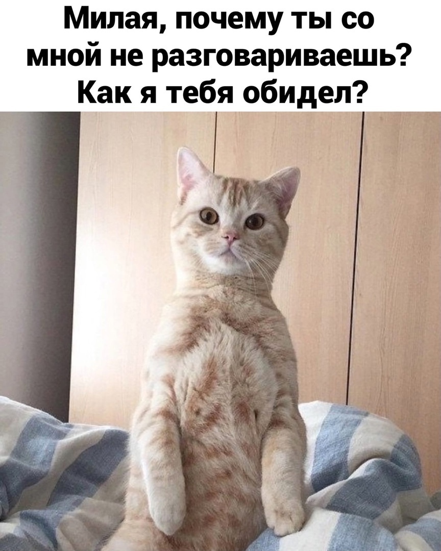 Милая почему ты со мной не разговариваешь Как я тебя обидел