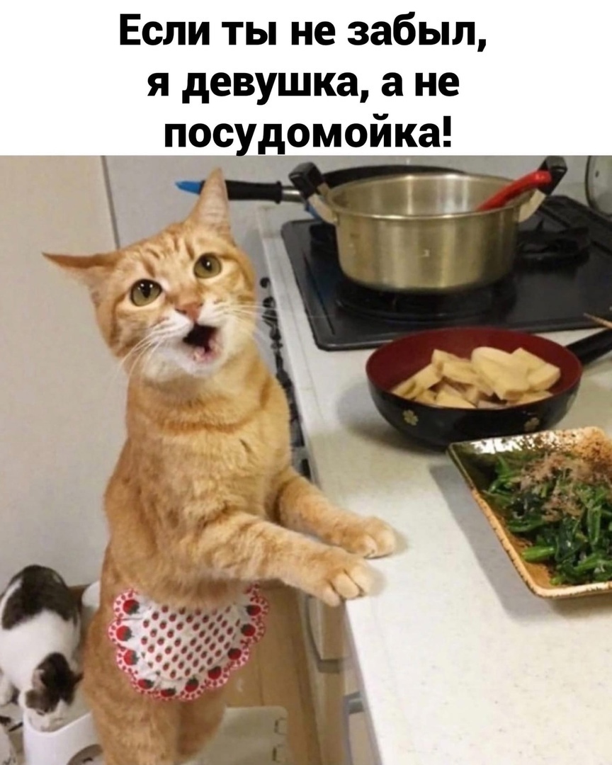 Если ты не забыл я девушка а не посудомойка ь