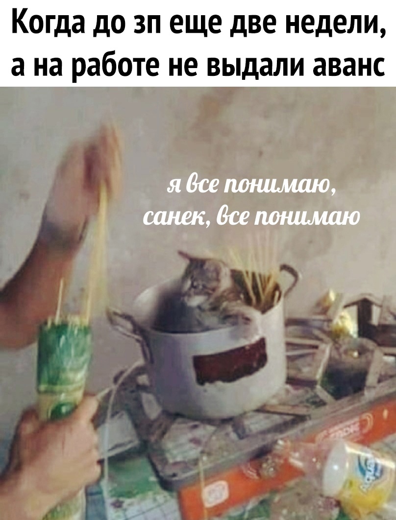 Когда до зп еще две недели а на работе не выдали аванс яВсепонимаю саниъдсепоншмшо