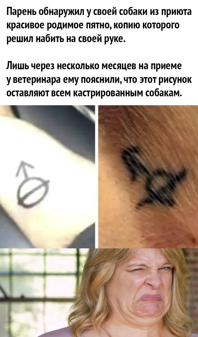Парень обнаружил у своей собаки из приюта красивое родимое пятно копию которого решил набить на своей руке Лишь через несколько месяцев на приеме у ветеринара ему пояснили что этот рисунок оставляют всем кастрированным собакам