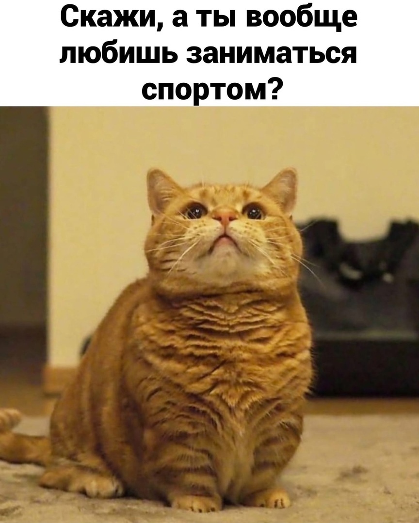 Скажи а ты вообще любишь заниматься спортом