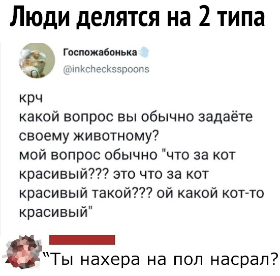 Люди делятся на 2 типа Госпожабонька 31 пКсйесКээроопэ крч какой вопрос вы обычно задаёте своему животному мой вопрос обычно что за кот красивый это что за кот красивый такой ой какой котто красивый _ Ты нахера на пол насрал